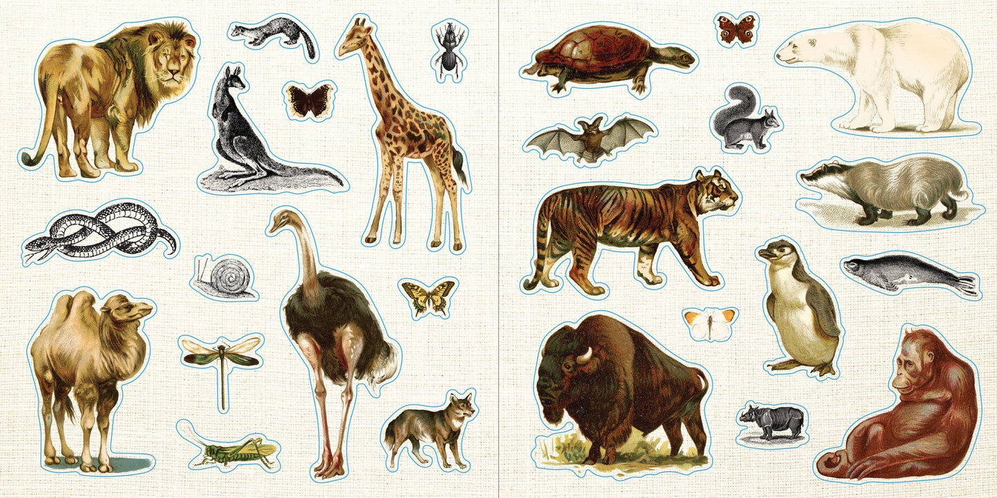 Sticker Book; Loads of Ephemera! (Over 580 Stickers)