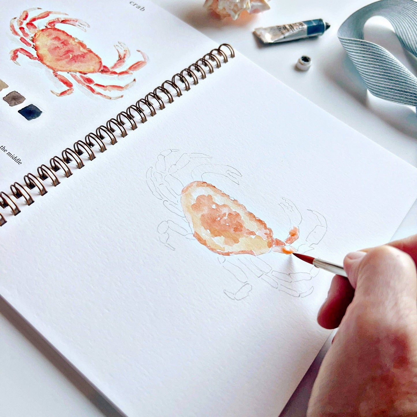 Watercolor Workbook; Seaside By Emily Lex