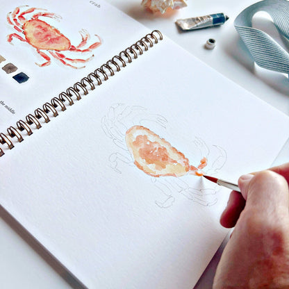 Watercolor Workbook; Seaside By Emily Lex