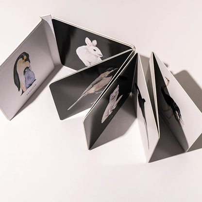 Baby Book; Baby's Black and White Contrast Book (High-Contrast Art for Visual Stimulation at Tummy Time)