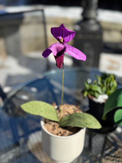 Paper Flower Bouquet Workshop - July 16, 2026 - Lady Slipper Orchid