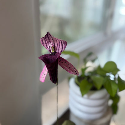 Paper Flower Bouquet Workshop - July 16, 2026 - Lady Slipper Orchid