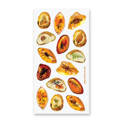Sticker Sheet; Amber Fossils