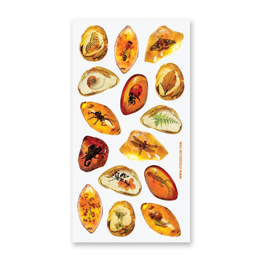 Sticker Sheet; Amber Fossils