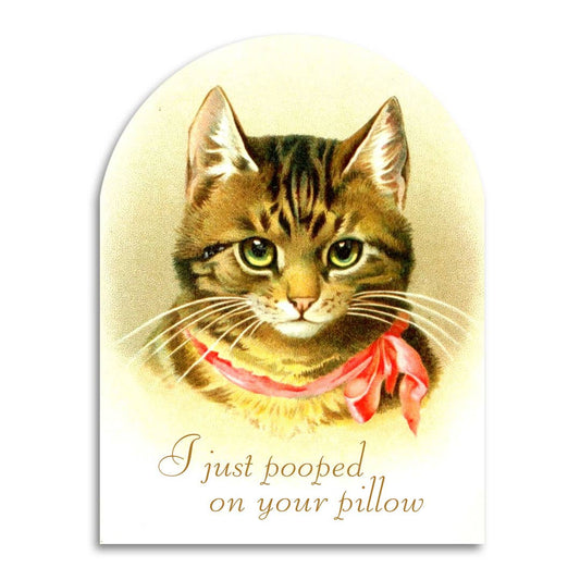 Greeting Card; I Just Pooped on Your Pillow (Funny Cat Lover Card)