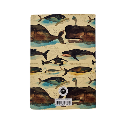 Notebook Collection; Fauna BV by Bruno Visconti