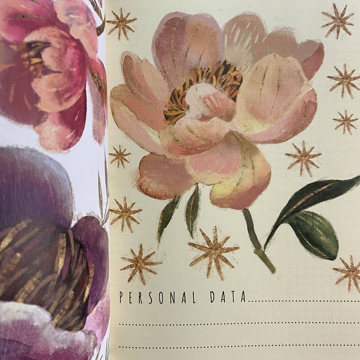 Notebook; Heaven Flowers - BV by Bruno Visconti