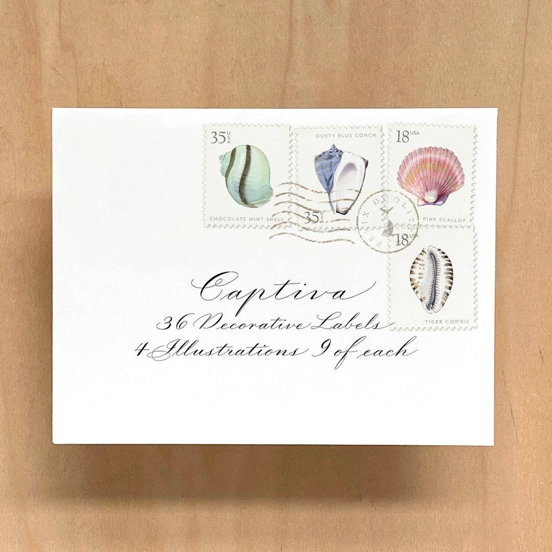 Decorative Label Set; Captiva Island Seashells by Felix Doolittle (36 Labels)