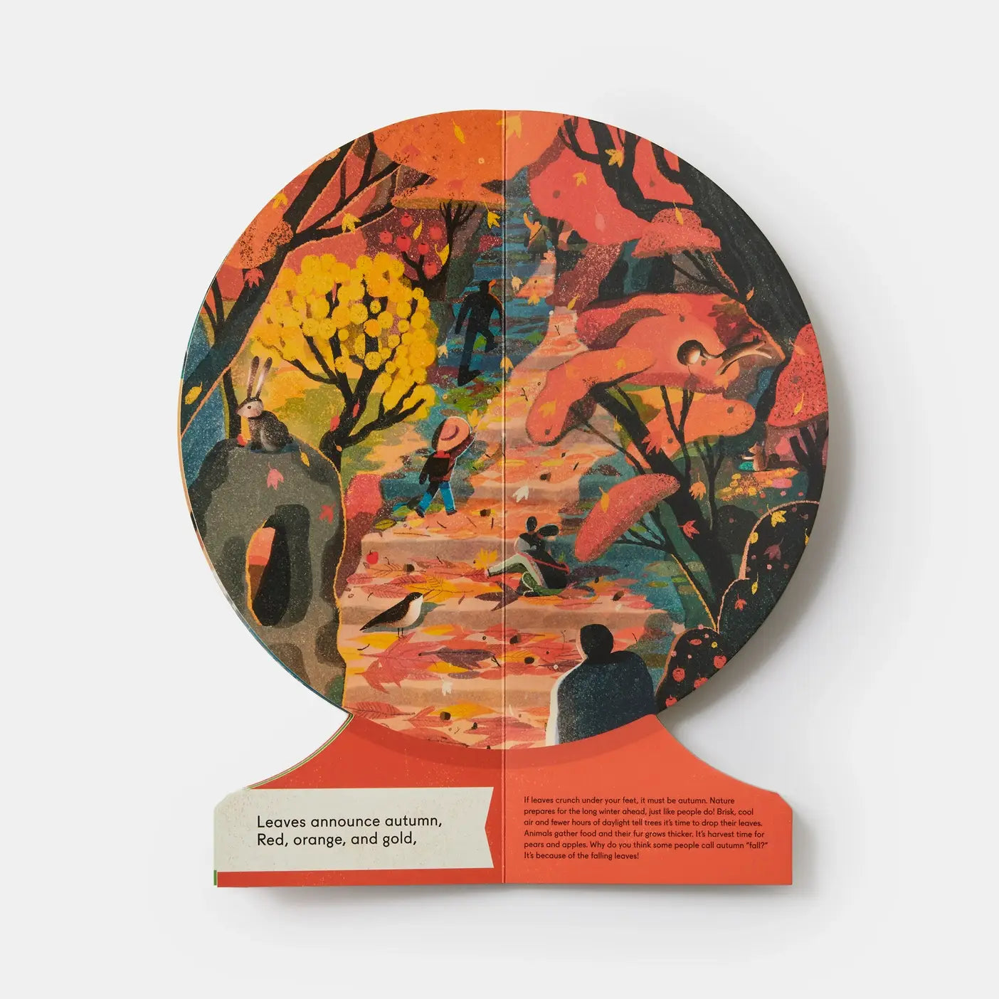 Board Book; Our Seasons: The World In Winter, Spring, Summer, And Autumn