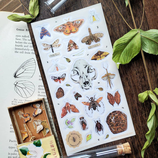 Stickii Sticker Sheet; Nature Study