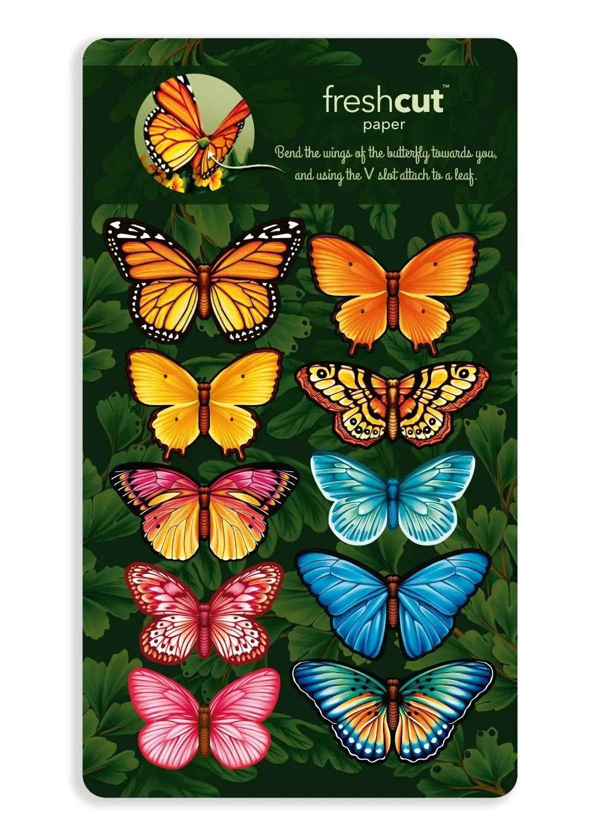 Pop-Up Greeting Card; Butterflies & Buttercups