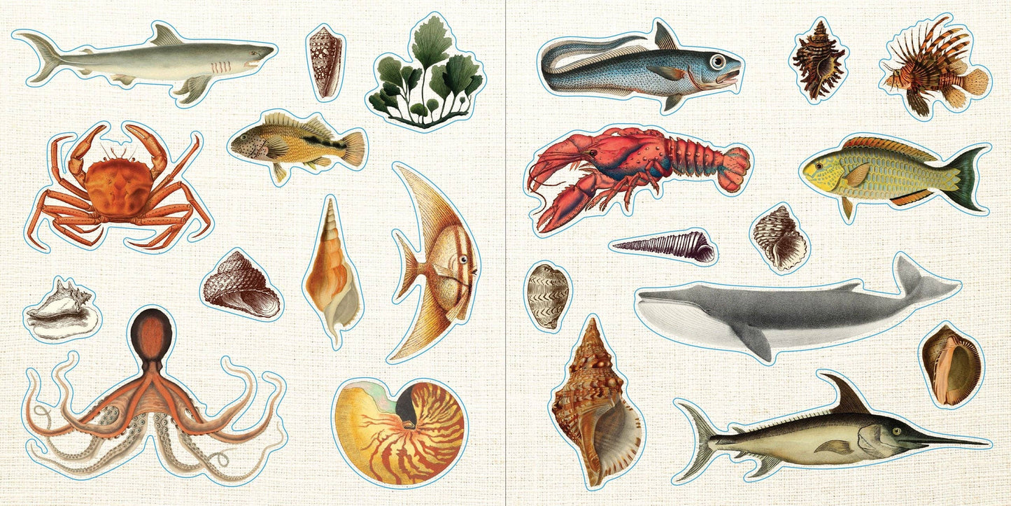 Sticker Book; Loads of Ephemera! (Over 580 Stickers)