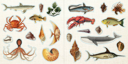 Sticker Book; Loads of Ephemera! (Over 580 Stickers)