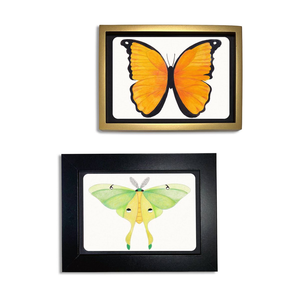 Grid showing all 6 Elseware Unplug butterfly and moth coloring postcard designs side by side on white background — top row left to right: Monarch Butterfly (orange and black), Chocolate Albatross Butterfly (pale blue and white), Red Monarch Butterfly (crimson red and black); bottom row: Luna Moth (bright green), Clouded Sulfur Butterfly (yellow and orange), Blue Morpho Butterfly (vivid teal blue and black); all shown fully colored as inspiration