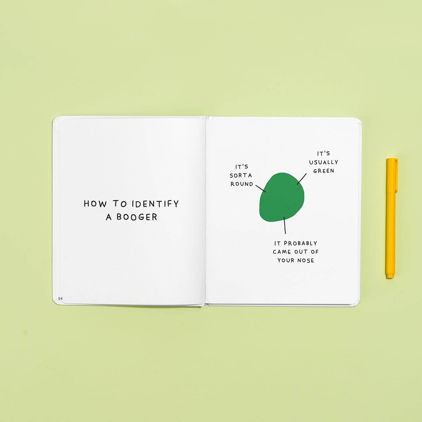 Open spread of The Only Booger Book You'll Ever Need showing pages 6–7 — "How to Identify a Booger" on the left page and a labeled diagram of a green booger shape annotated "It's sorta round," "It's usually green," and "It probably came out of your nose" on the right, beside a yellow pen on a light green background