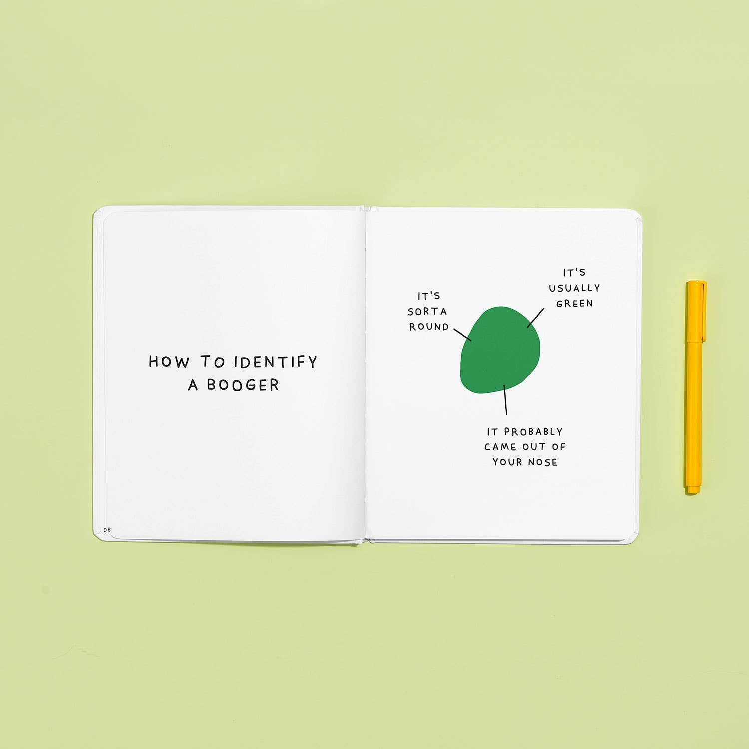 Open spread of The Only Booger Book You'll Ever Need showing pages 6–7 — "How to Identify a Booger" on the left page and a labeled diagram of a green booger shape annotated "It's sorta round," "It's usually green," and "It probably came out of your nose" on the right, beside a yellow pen on a light green background