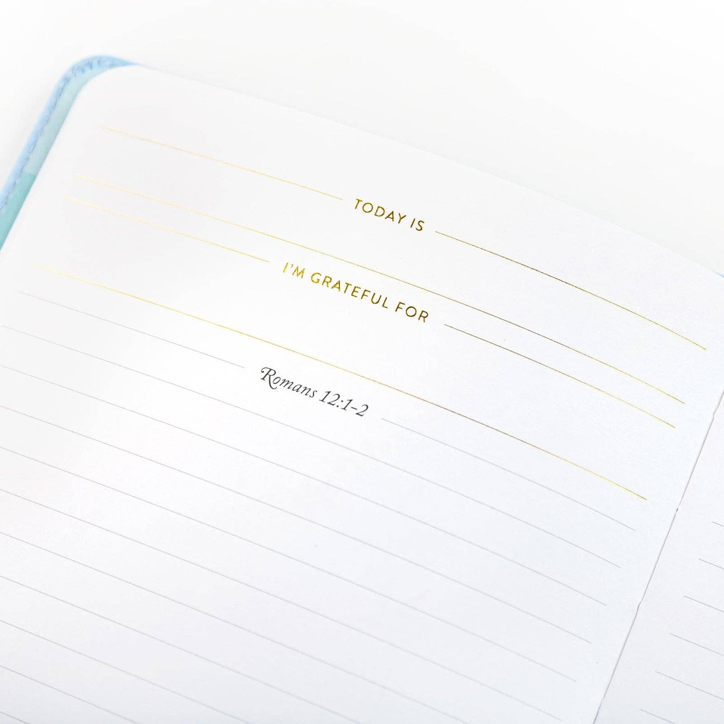 Journal; Write The Word® | Refresh Your Mind (Linen)