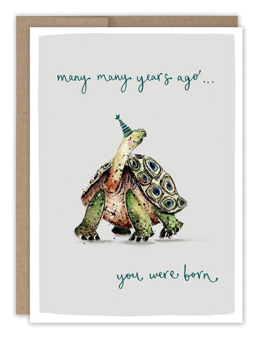 Birthday Card; Tortoise