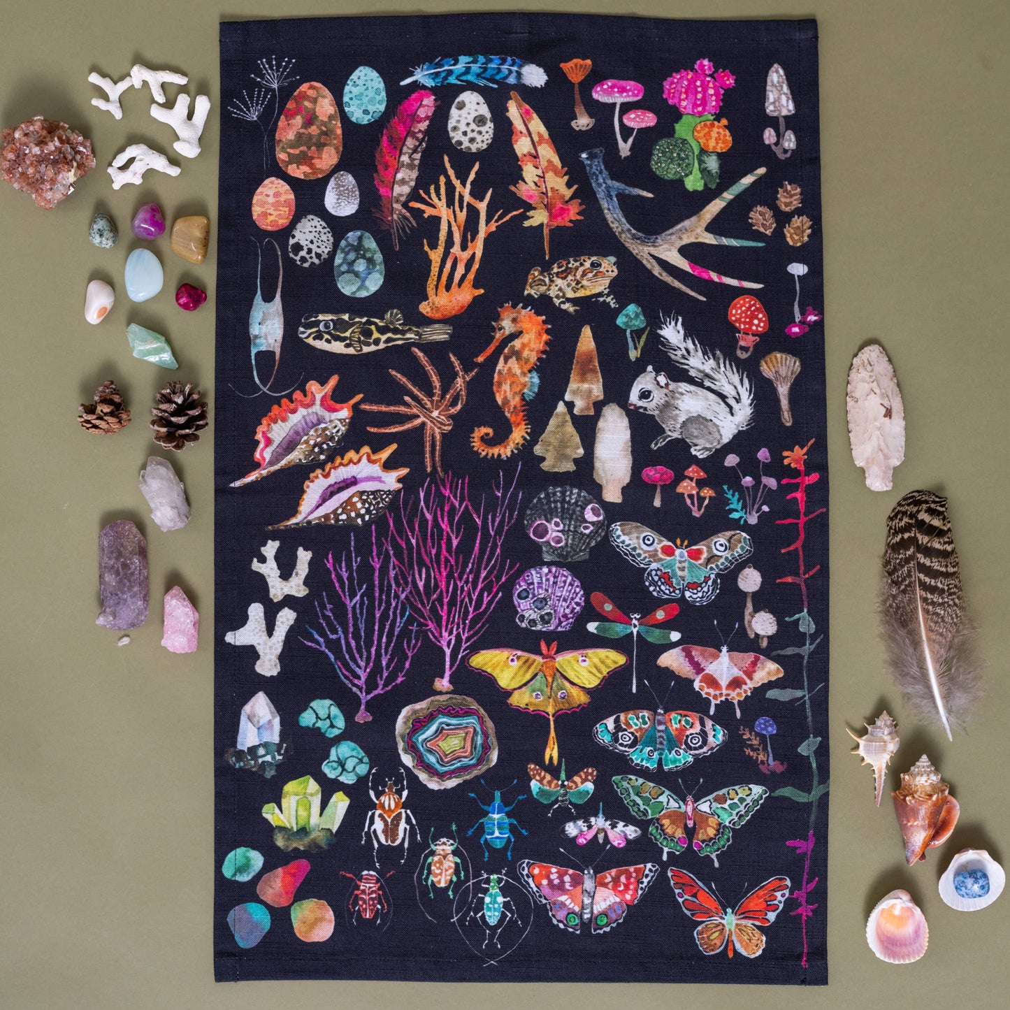 Tea Towel; Specimens By BETSY OLMSTED