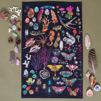 Tea Towel; Specimens By BETSY OLMSTED