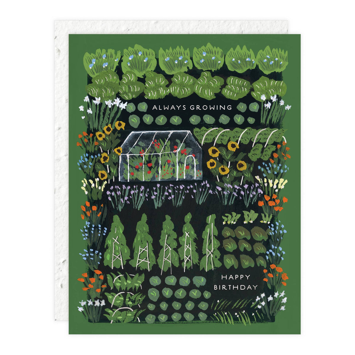 Birthday Card; Garden Greenhouse | Seedlings