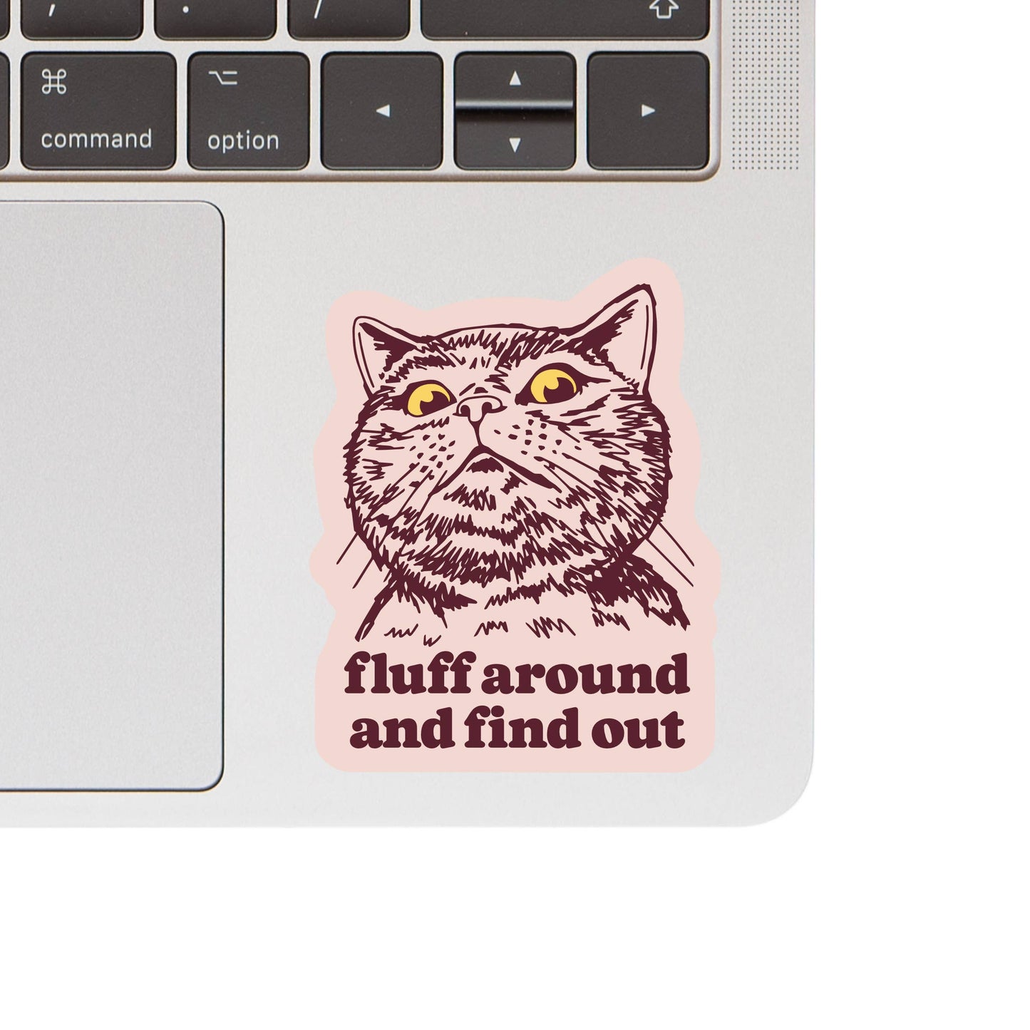 Vinyl Sticker; Fluff Around And Find Out (Funny Kitty Cat Swear Humor High Quality)