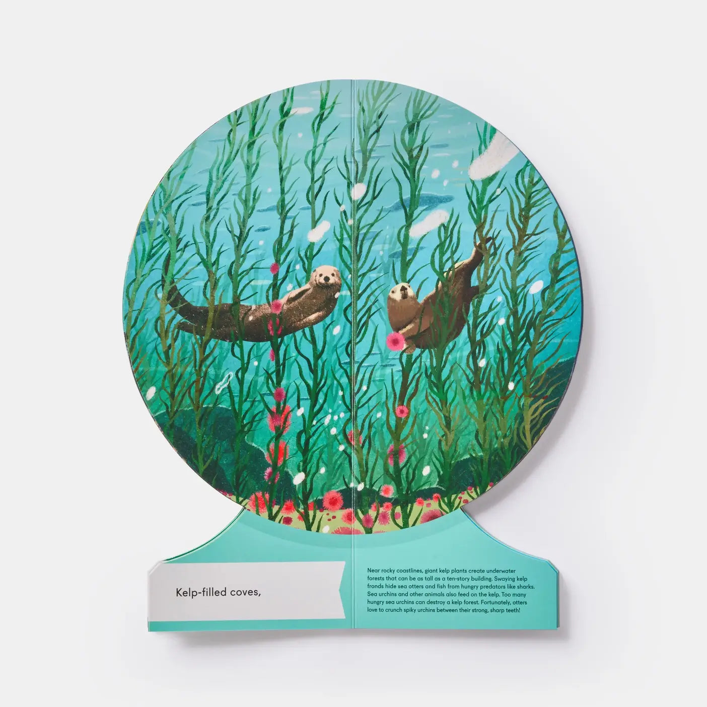Board Book; Our Underwater World: Dive Into Oceans, Lakes, Rivers 2023