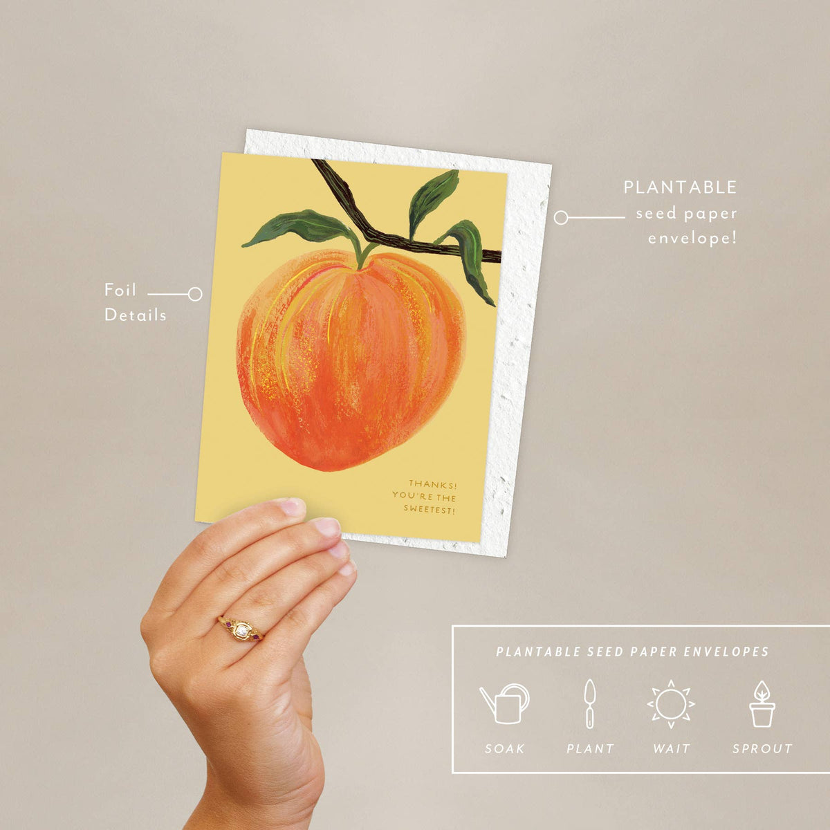 Thank You Card; Peach | Seedlings