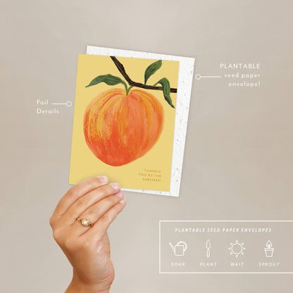 Thank You Card; Peach | Seedlings