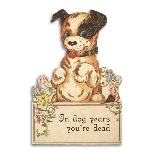 Birthday Card; In Dog Years You're Dead (Funny Vintage Style Birthday Card)