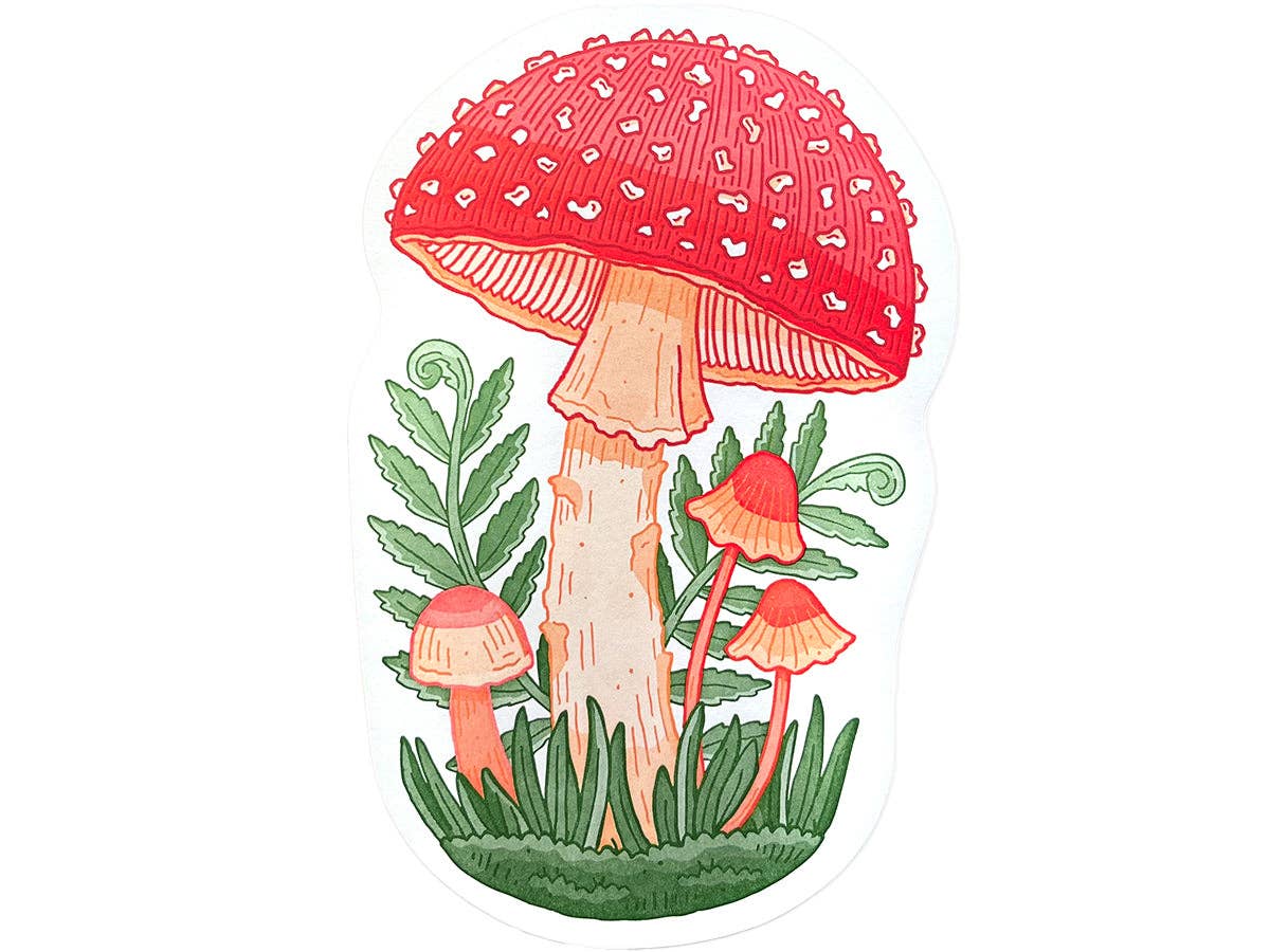 Postcard; Mushroom (Large Cut-Out)