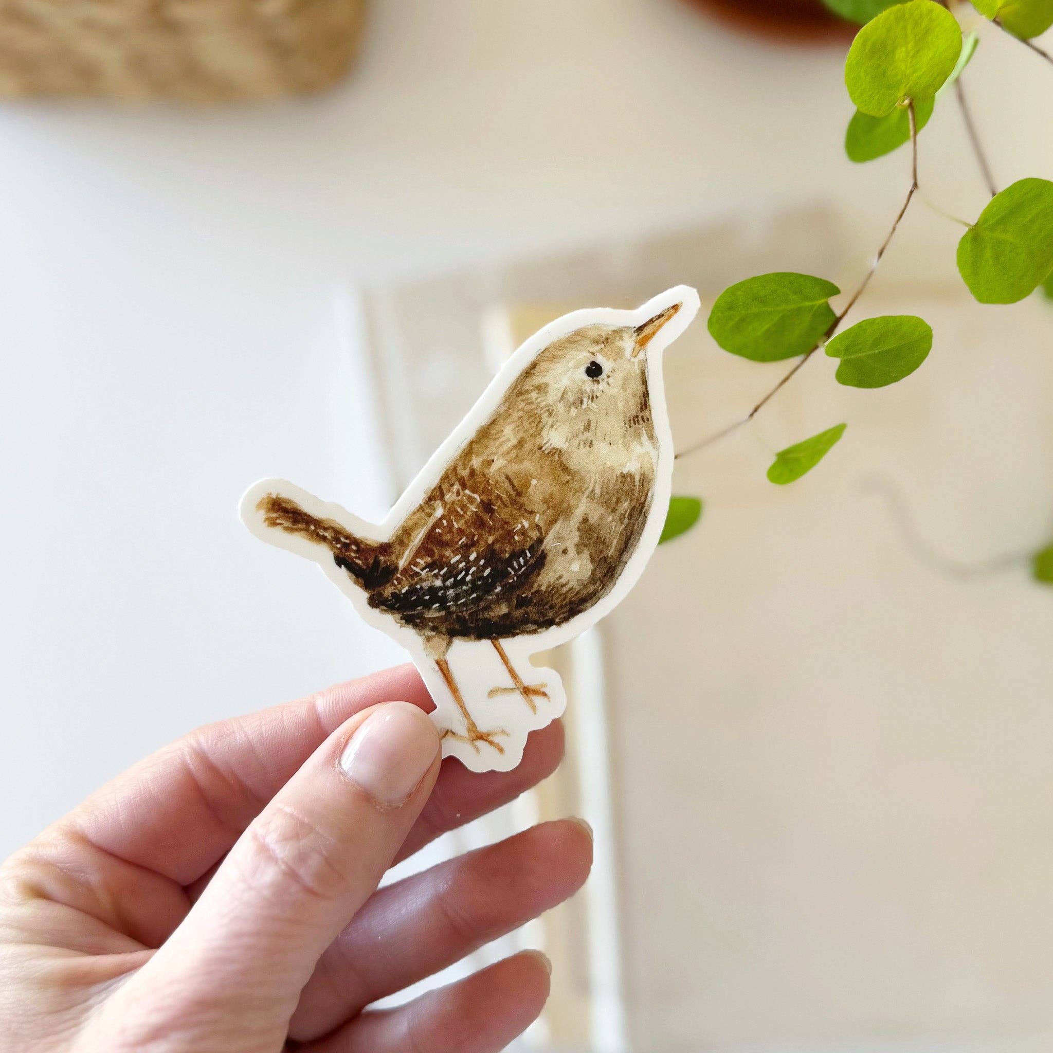 Vinyl Sticker; Wren – Love Letters Shop