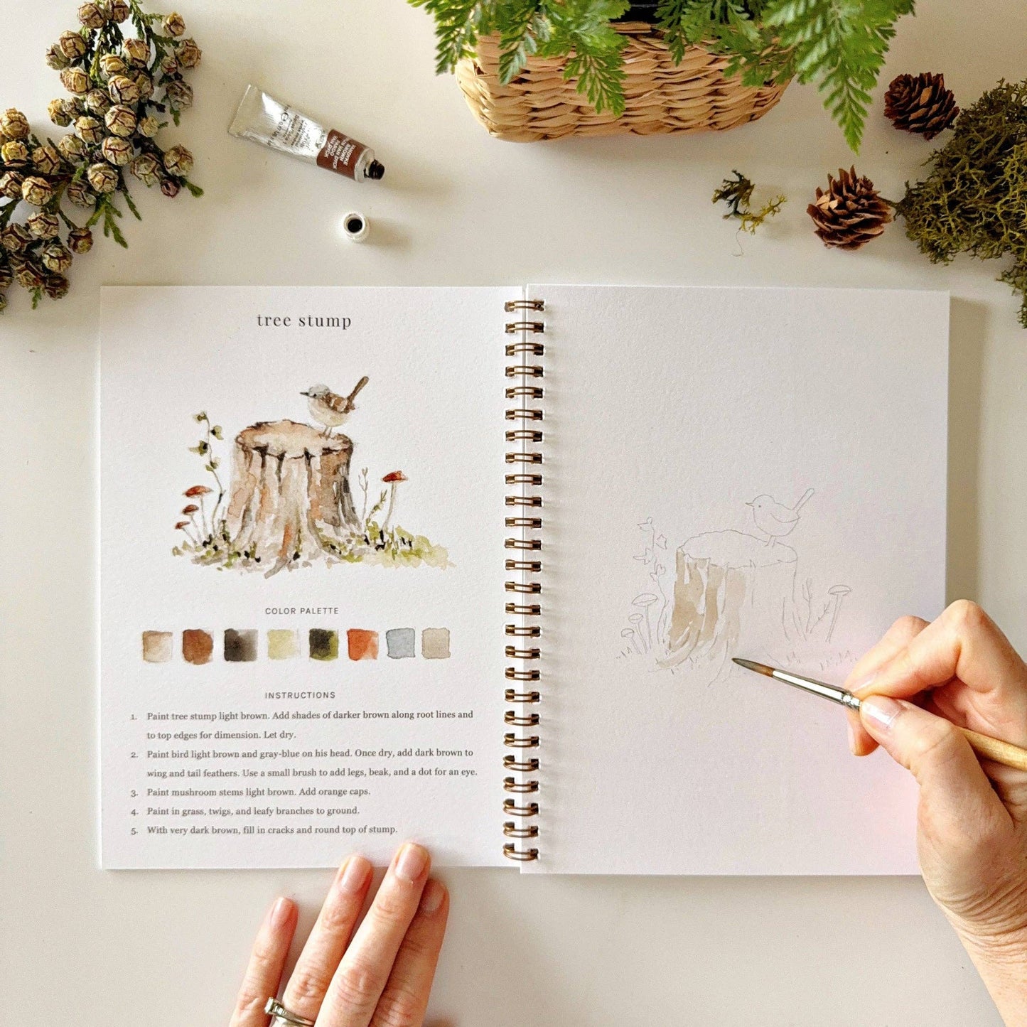 Watercolor Workbook; Woodland By Emily Lex