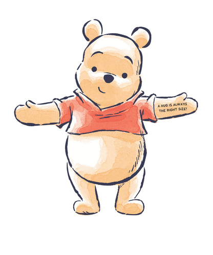 Notecard Set; Disney Winnie the Pooh Hugs