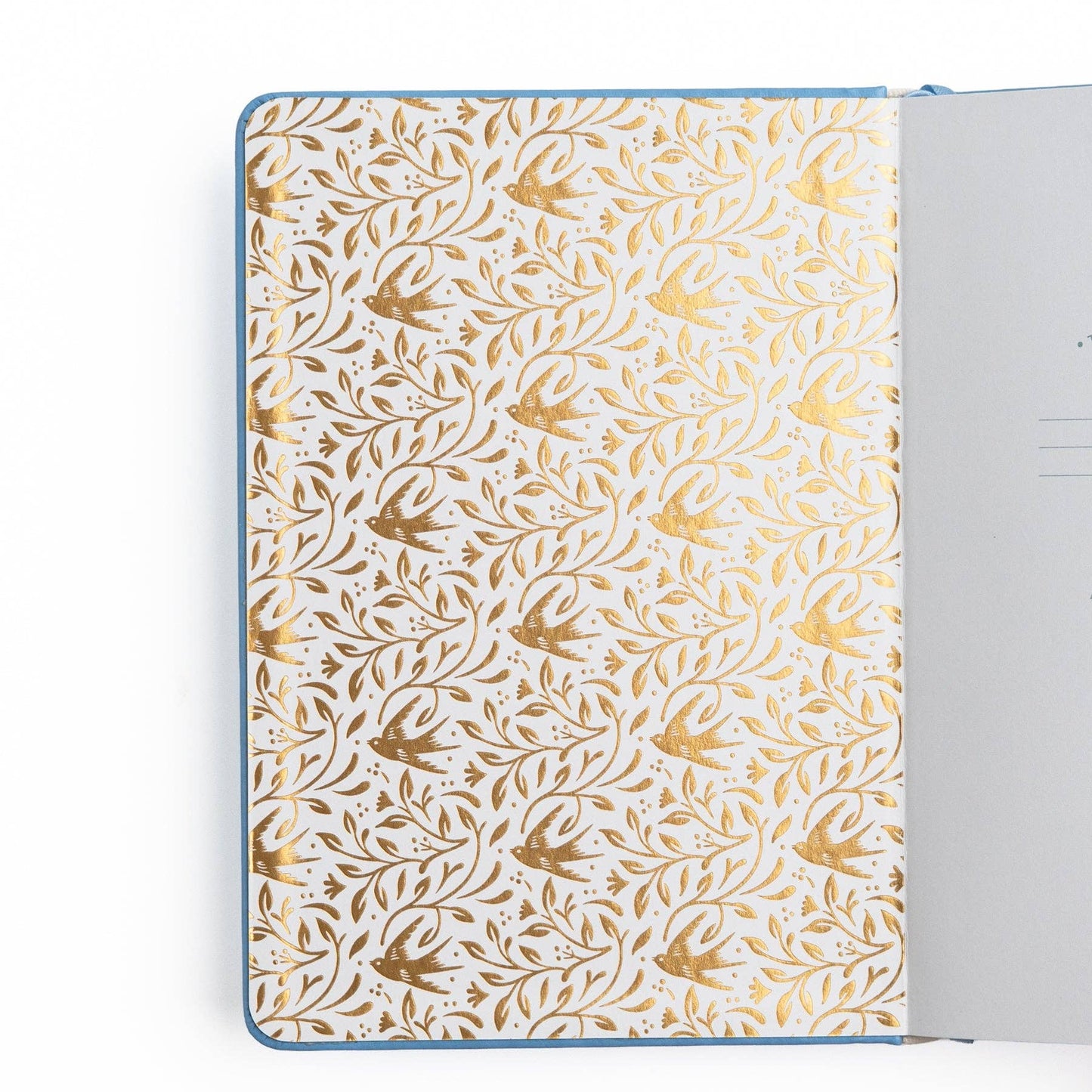 Dot Grid Notebook; Songbird In Blue