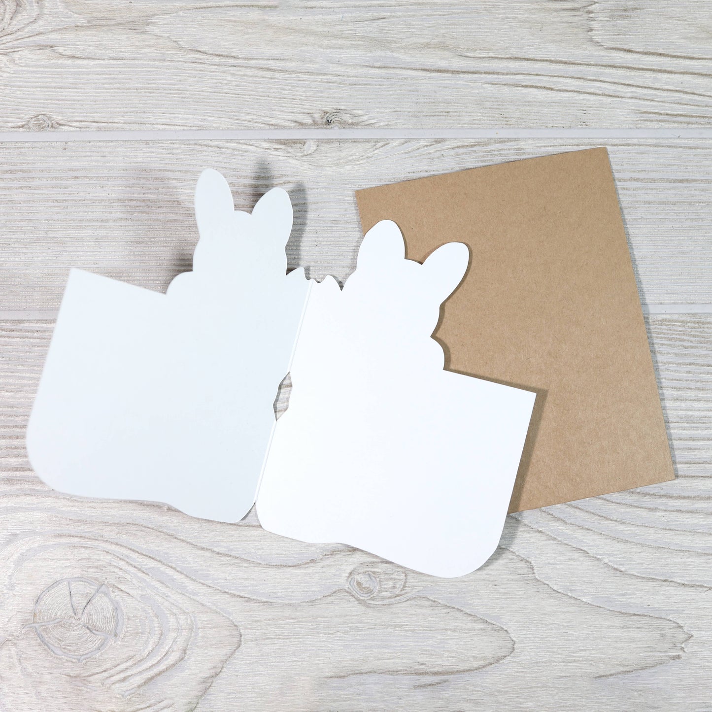 Birthday Card; Happy Birthday, Tiny Human! (Funny Greeting Card for Baby)
