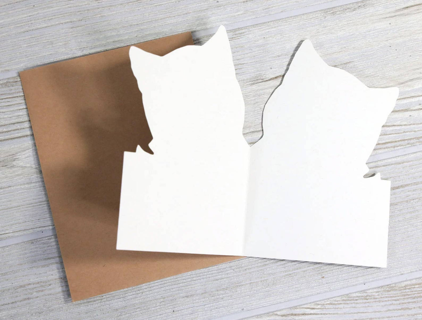 Engagement Card; OMG You're Engaged!!! (Funny Cat)