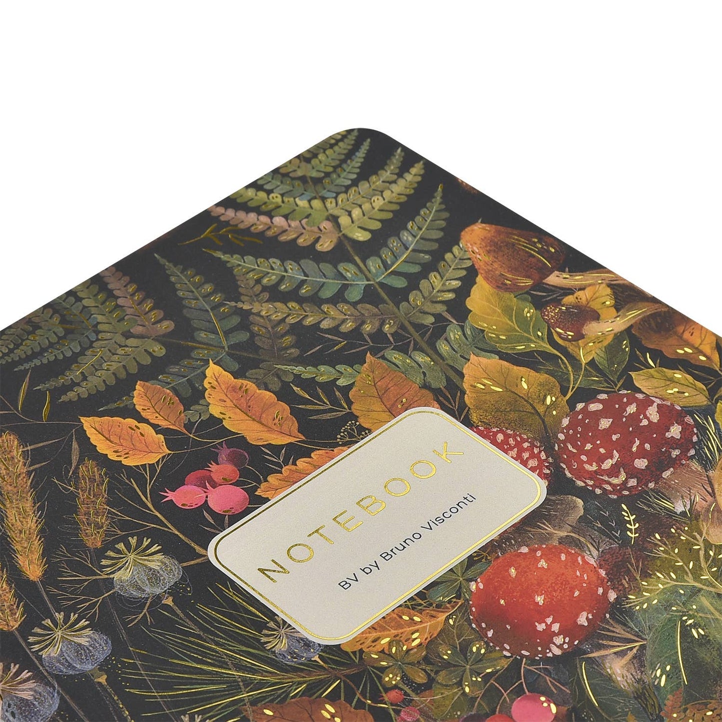 A5 Notebook; Forest Mushrooms - BV by Bruno Visconti