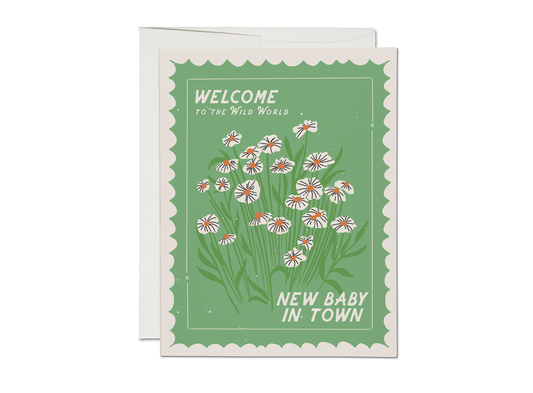 Baby Card; Wild World