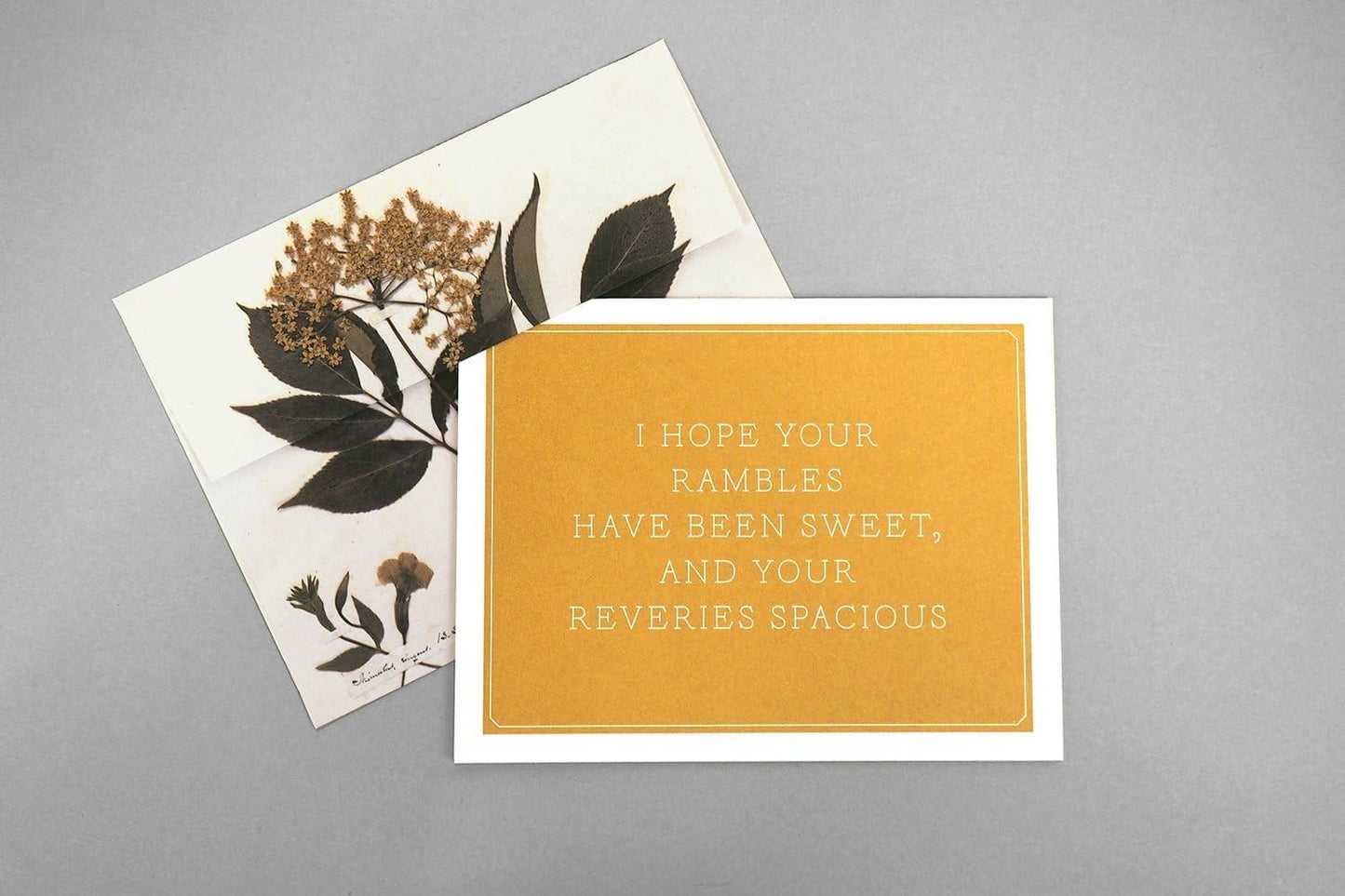 Notecard Set; Emily Dickinson (12 Notecards + 12 Envelopes)