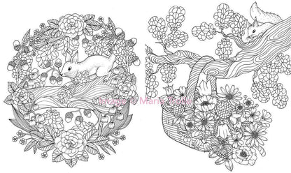 Mature Coloring Book; Twilight Garden