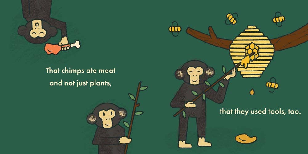 Board Book; Little Naturalists: Jane Goodall Is a Friend to All