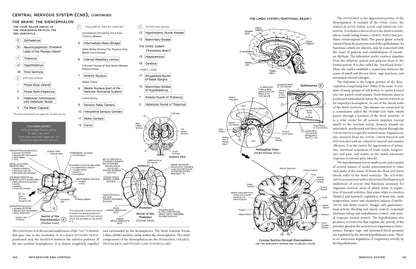 McMurtrie's Human Anatomy Coloring Book cover displayed at an angle on a white background showing the rainbow colored pencil spine, skull coloring illustration, and bold red title
