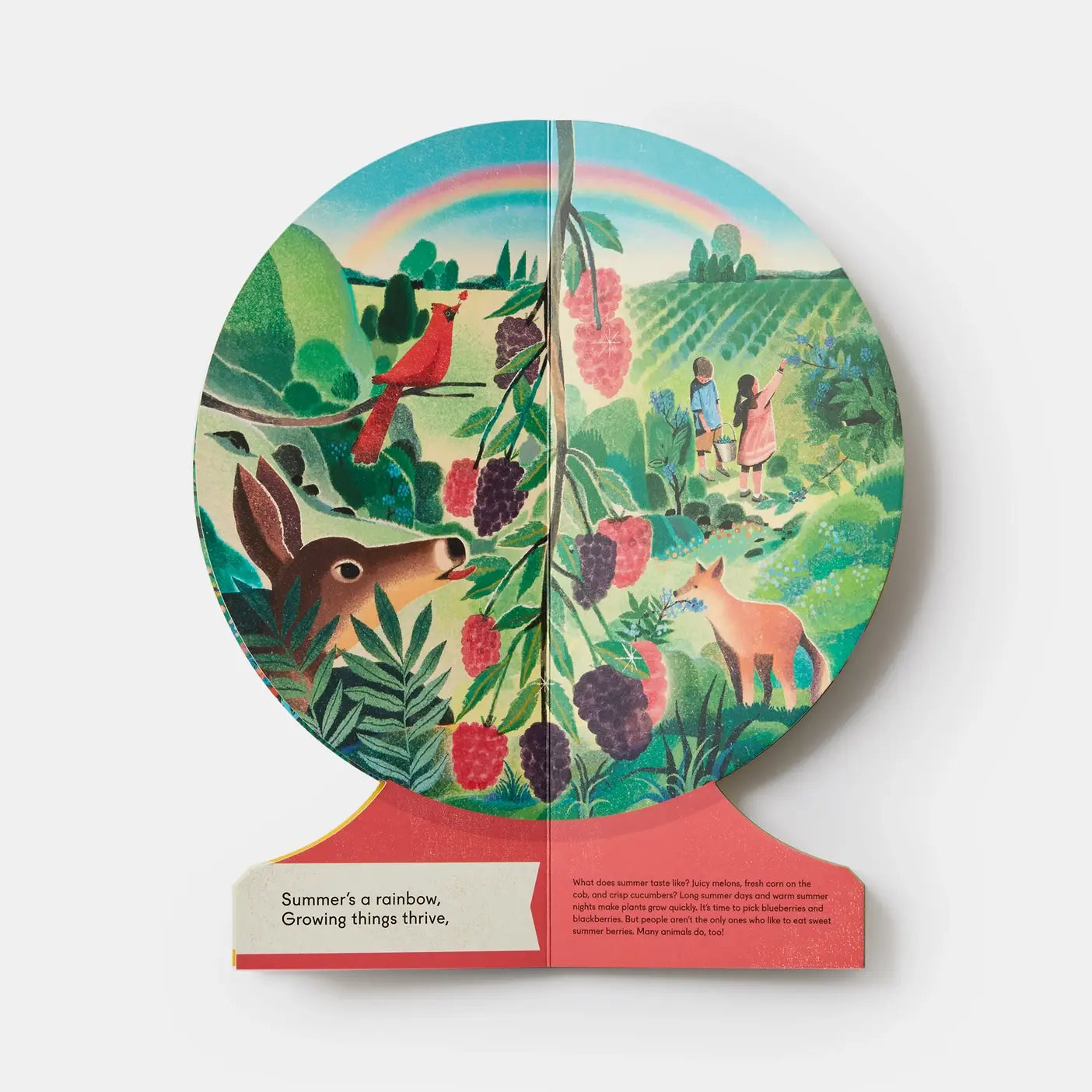Board Book; Our Seasons: The World In Winter, Spring, Summer, And Autumn