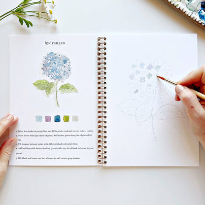 Watercolor Workbook; Flowers By Emily Lex Studio