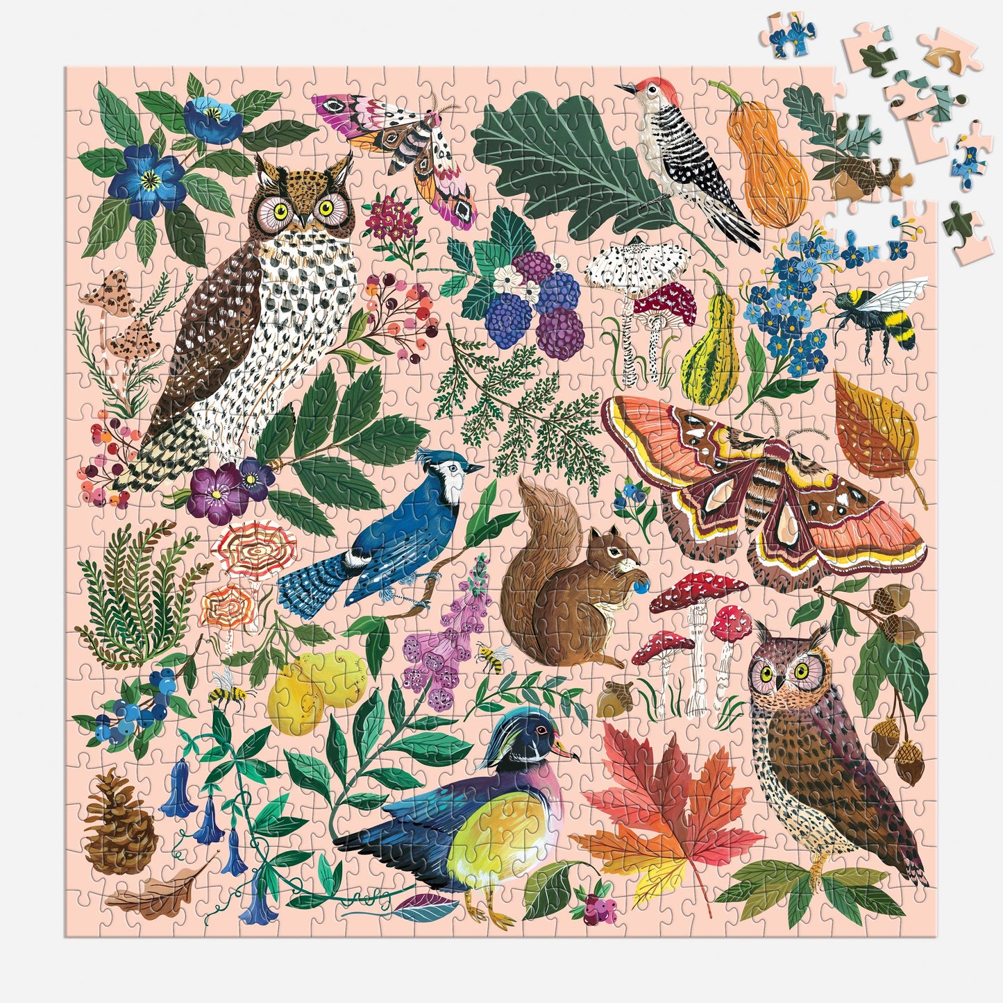 Jigsaw Puzzle; Nature in Autumn (500 Piece Puzzle)