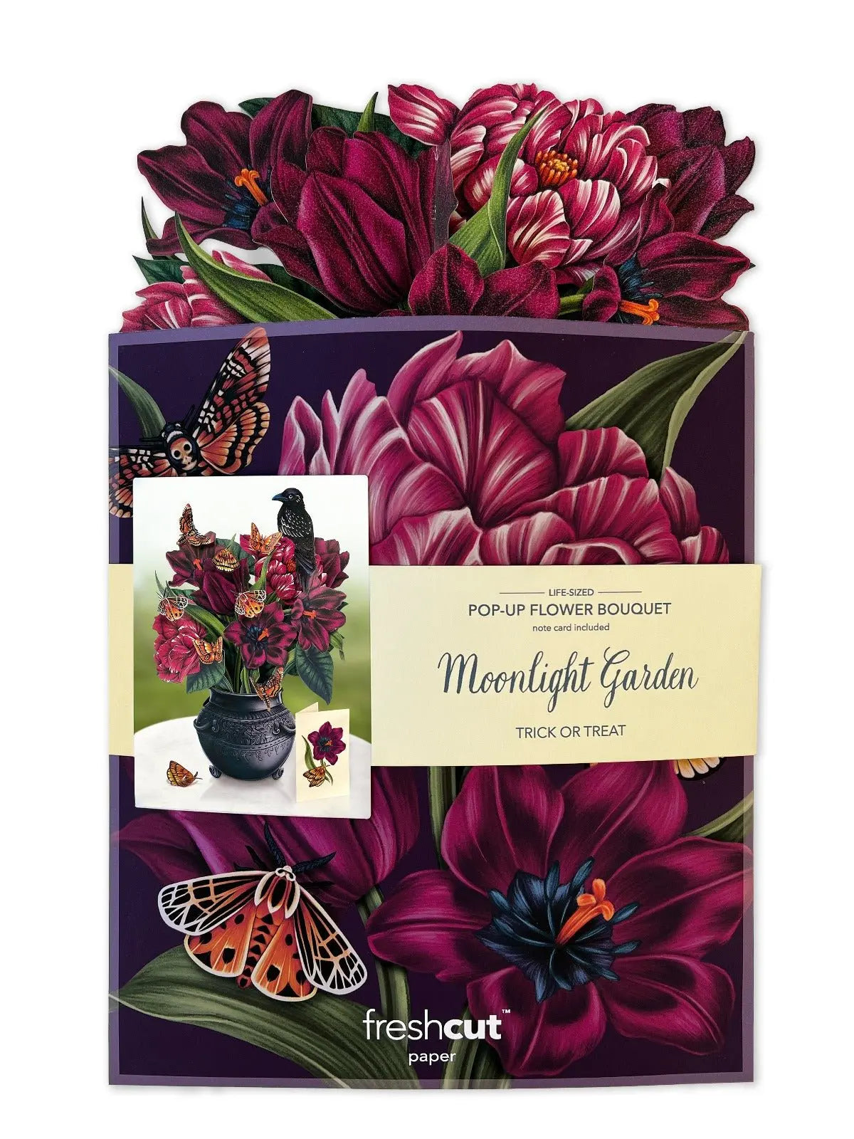 Pop-Up Greeting Card; Moonlight Garden