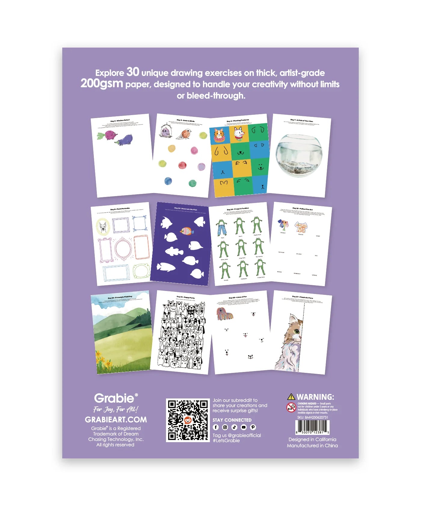 Art Workbook; What To Draw When You Think You Can't (Pet Drawing Challenge)