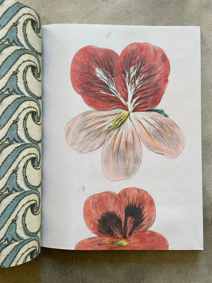  Open spread of John Derian Wrapping Paper & Gift Tags showing the botanical pansy wrapping paper sheet — two large 19th-century engraved pansy illustrations numbered 1 and 3, with deep red upper petals and pale pink lower petals, beside the blue scrollwork wave pattern sheet on the left, photographed on a gray surface
