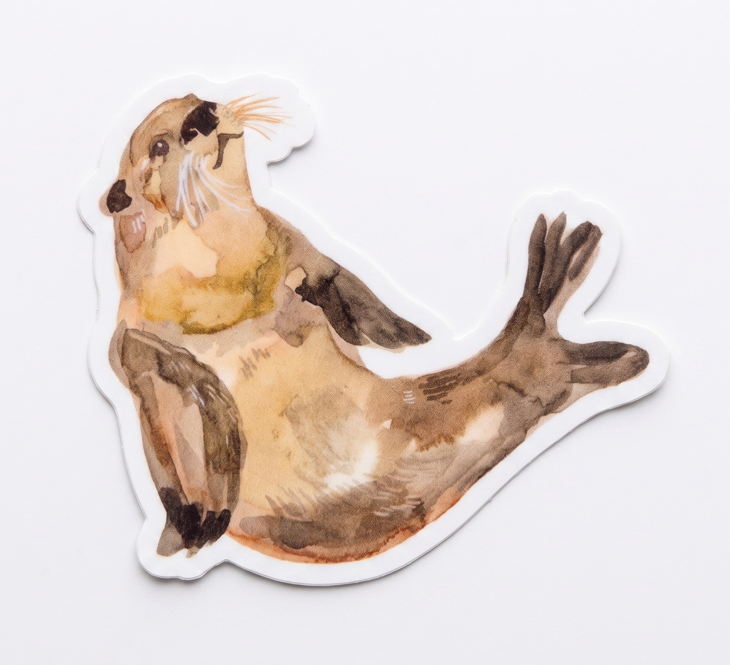 Vinyl Sticker; Otter - Made by Shellie